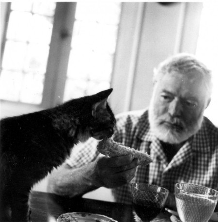 Un gatto con il suo Ernest Hemingway